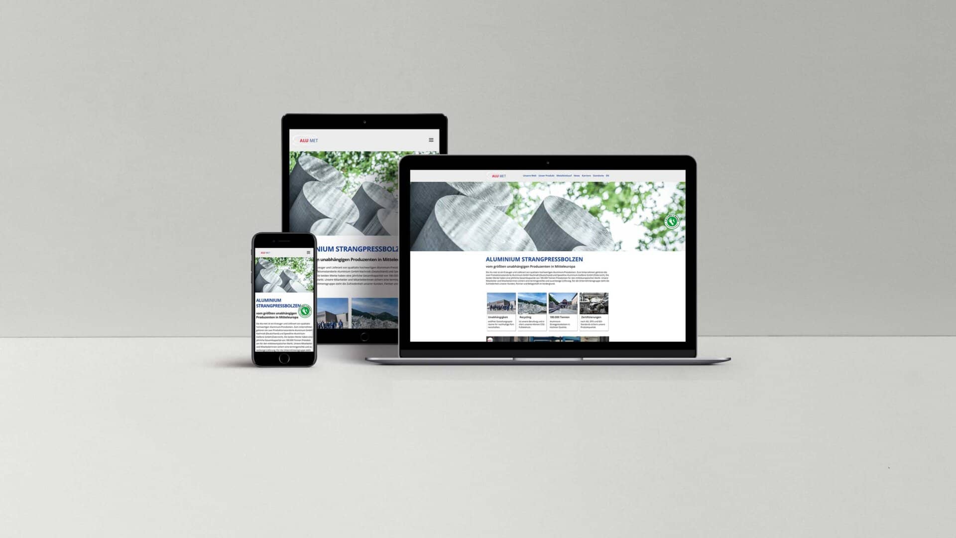 Website Alumet